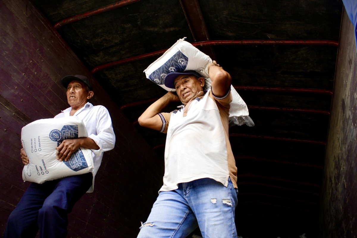 LA SDA IMPULSA EL CAMPO CON ENTREGA DE FERTILIZANTE EN DZITBALCHÉ