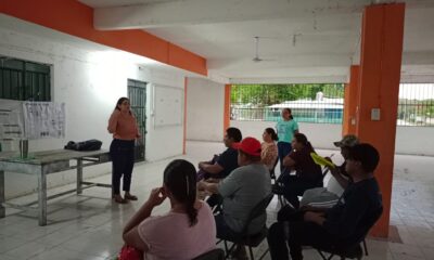 IMEC IMPARTE PLÁTICA ¿DÓNDE ACUDIR EN SITUACIÓN DE VIOLENCIA? A LAS Y LOS APICULTORES DE CASTAMAY