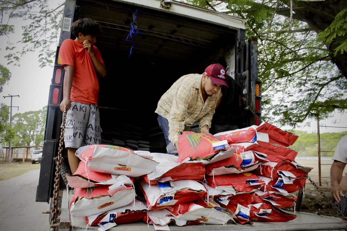 ENTREGA DE SEMILLAS DE MAÍZ A PRODUCTORES DE COMUNIDADES DE CAMPECHE