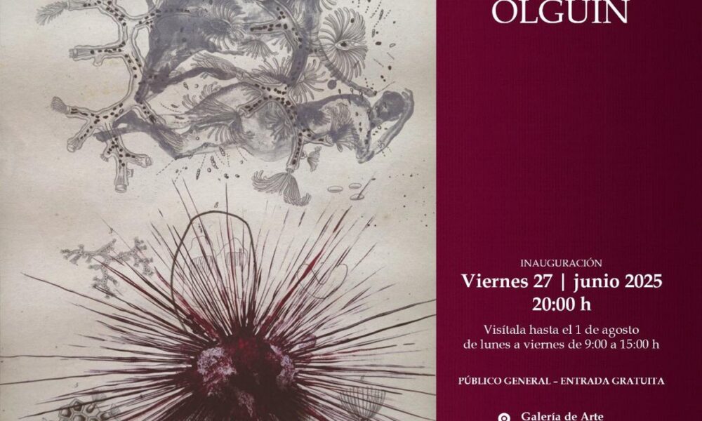 LA GALERÍA JOAQUÍN CLAUSELL PRESENTA "SUR & SUR 30 AÑOS DE GRÁFICA" DE GUILLERMO OLGUÍN