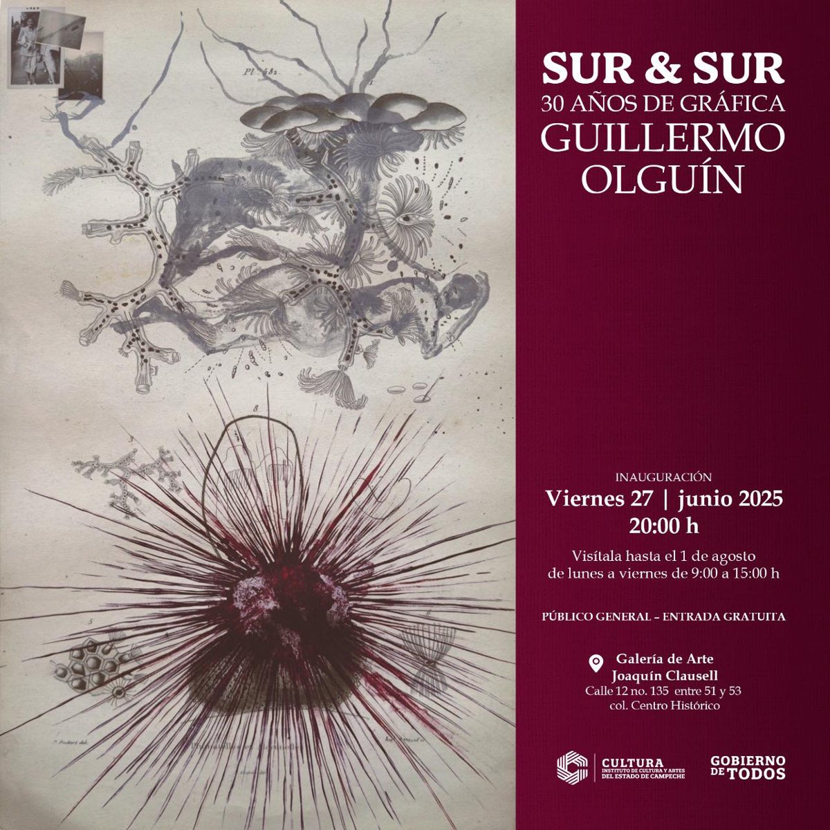 LA GALERÍA JOAQUÍN CLAUSELL PRESENTA "SUR & SUR 30 AÑOS DE GRÁFICA" DE GUILLERMO OLGUÍN