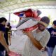 RECIBEN PRODUCTORES DE CARMEN MÁS DE MIL BULTOS DE SEMILLA DE MAÍZ