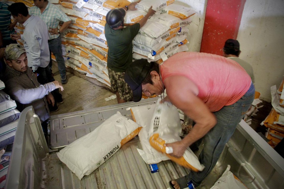ENTREGA DE SEMILLAS EN HECELCHAKÁN