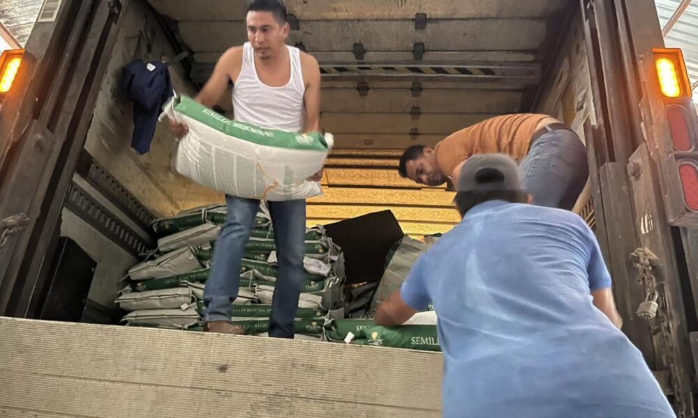 ENTREGA DE SEMILLAS EN HECELCHAKÁN