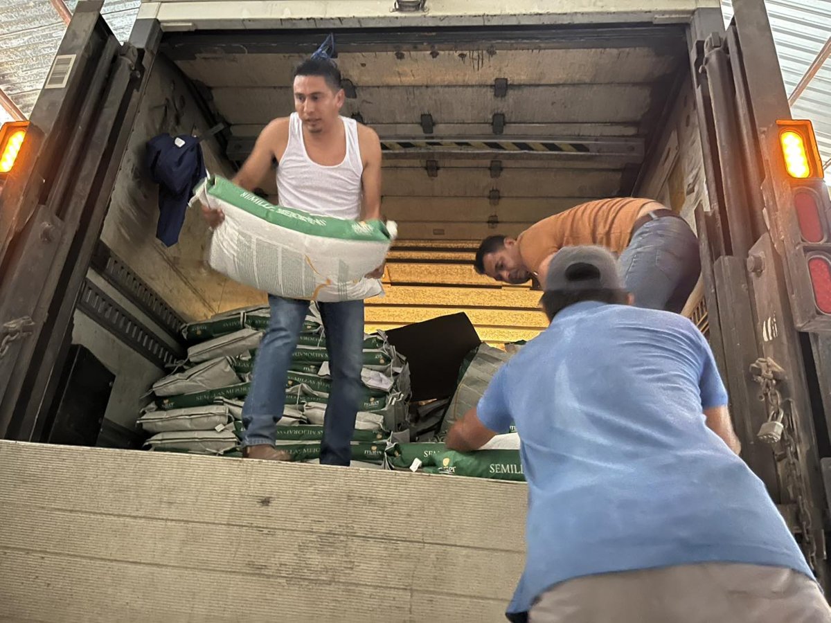 ENTREGA DE SEMILLAS EN HECELCHAKÁN