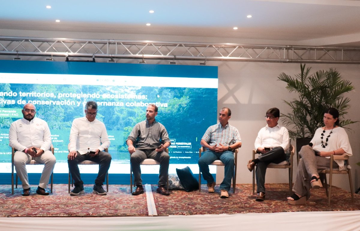 MÉXICO PRESENTA SU COMPROMISO POR LA SELVA MAYA EN EL LANZAMIENTO DEL PROGRAMA INTEGRADO DE BIOMAS CRÍTICOS FORESTALES DE MESOAMÉRICA