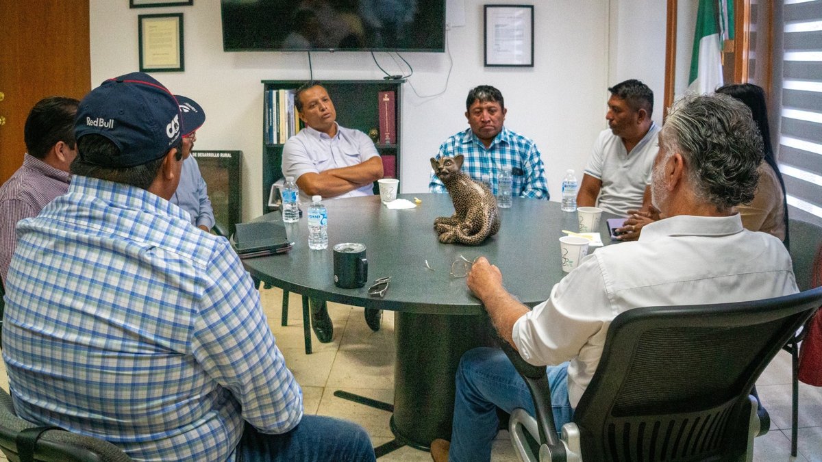 LA SDA REFUERZA EL COMPROMISO CON EL MERCADO DEL MAÍZ EN CAMPECHE