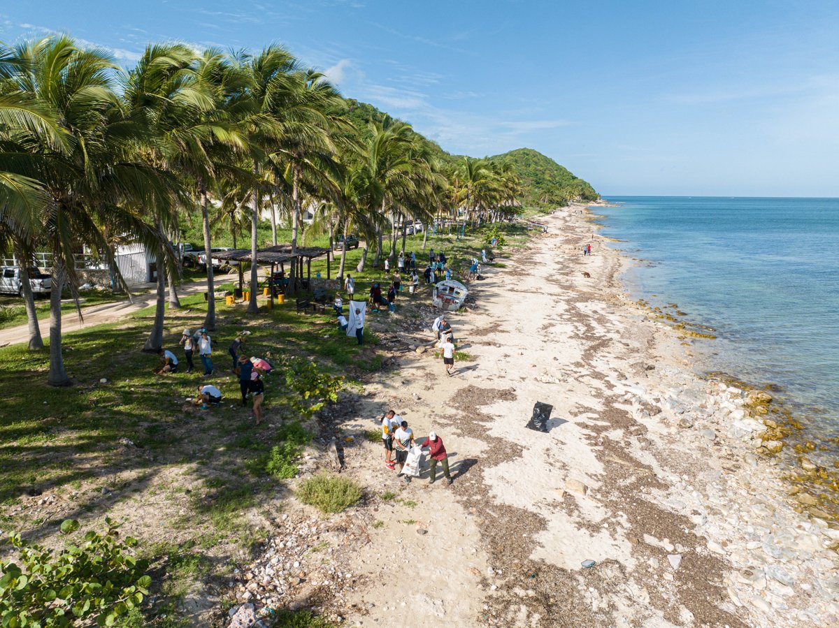 SEMBRAR VIDA PARA SALVAR LA COSTA