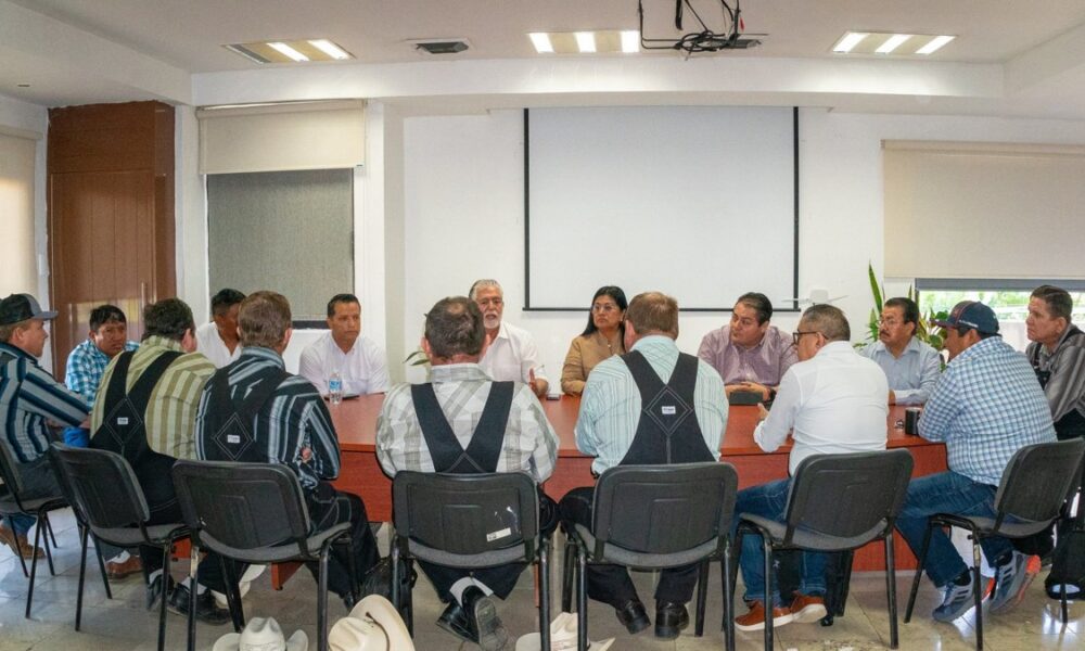 LA SDA REFUERZA EL COMPROMISO CON EL MERCADO DEL MAÍZ EN CAMPECHE