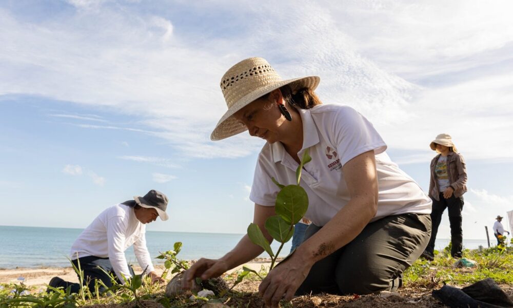 SEMBRAR VIDA PARA SALVAR LA COSTA