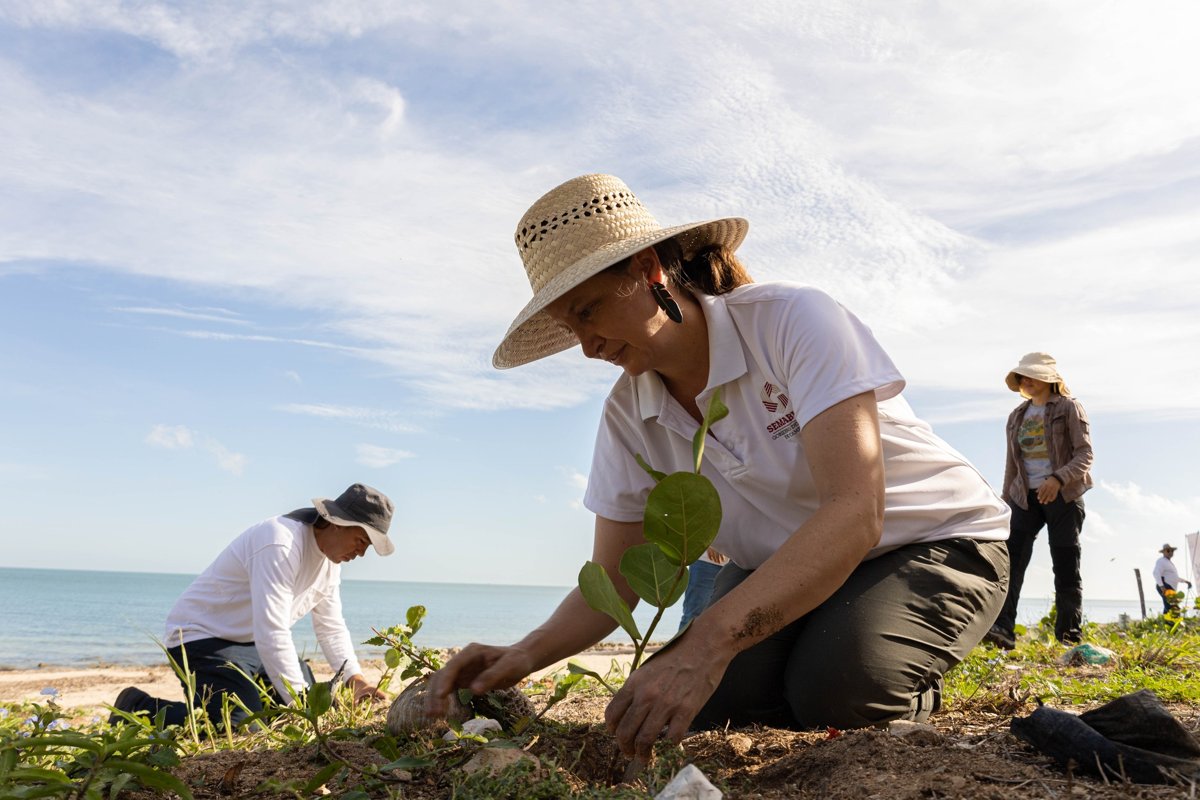 SEMBRAR VIDA PARA SALVAR LA COSTA