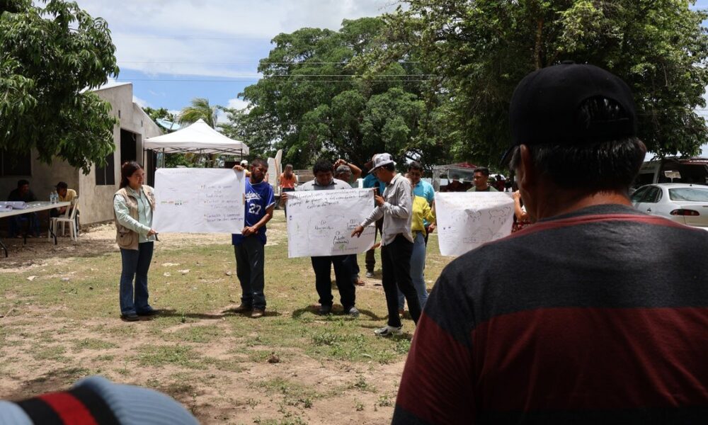 ABEJAS NATIVAS, GUARDIANAS INVISIBLES DE LA MILPA: SEMABICCE EN EL ENCUENTRO DE SABERES MILPEROS