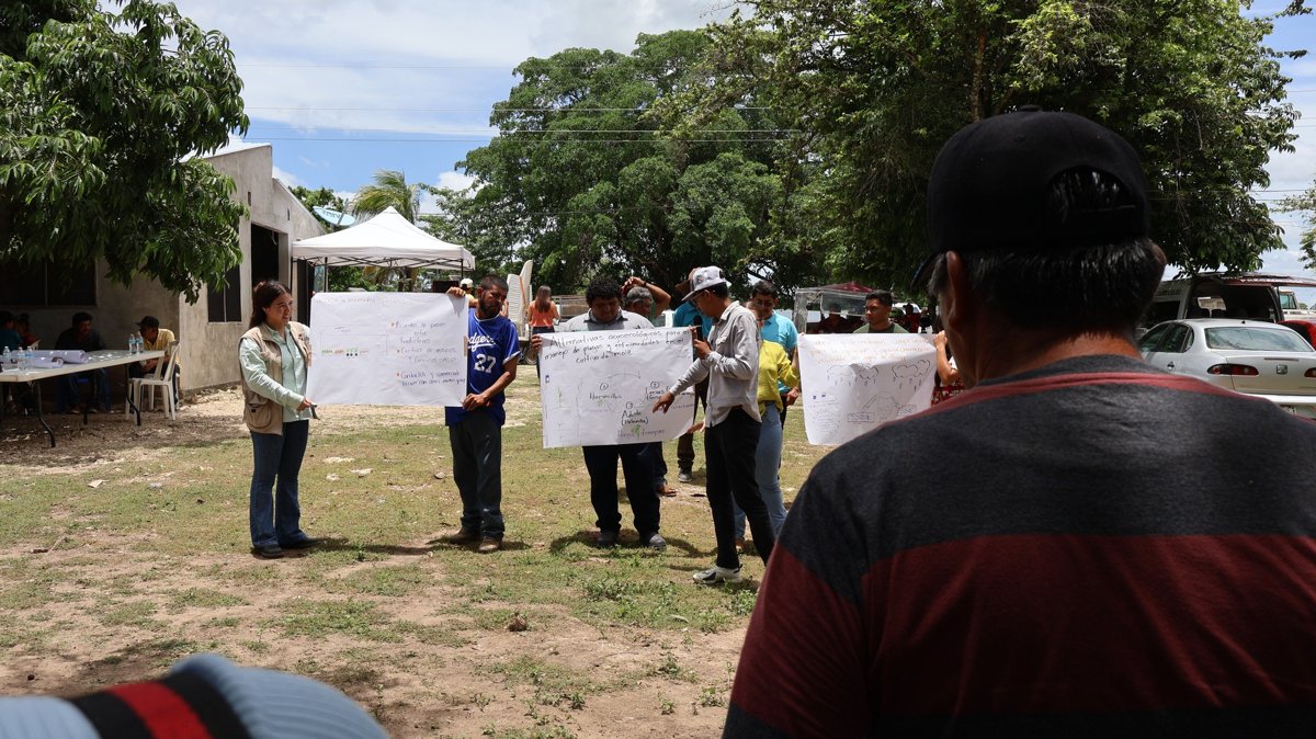 ABEJAS NATIVAS, GUARDIANAS INVISIBLES DE LA MILPA: SEMABICCE EN EL ENCUENTRO DE SABERES MILPEROS