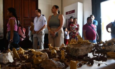 AVANZA CONSEJO CONSULTIVO JUVENIL PARA LA INCLUSIÓN
