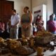 AVANZA CONSEJO CONSULTIVO JUVENIL PARA LA INCLUSIÓN