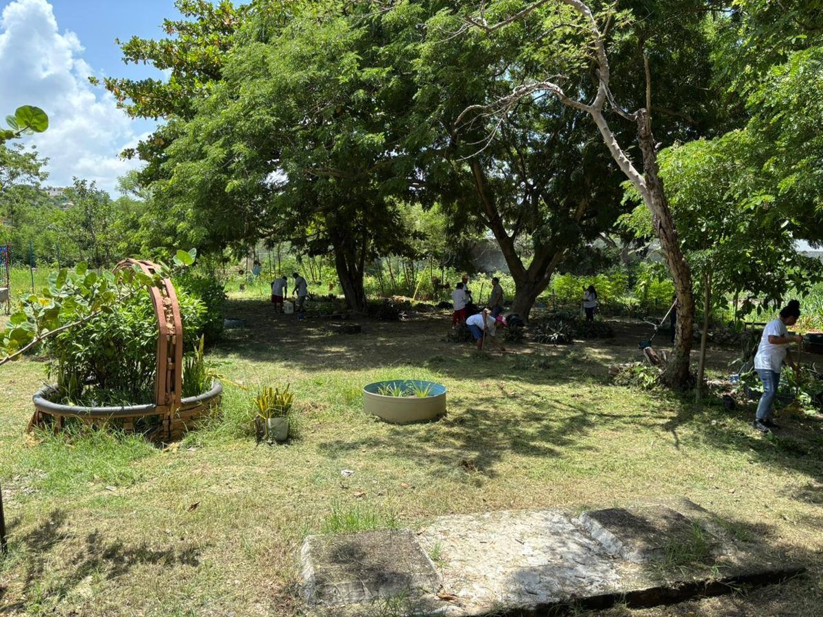 INCLUSIÓN EN ACCIÓN: USUARIOS DE ALBERGUE APOYAN A INFANCIAS CON DISCAPACIDAD EN CAMPECHE