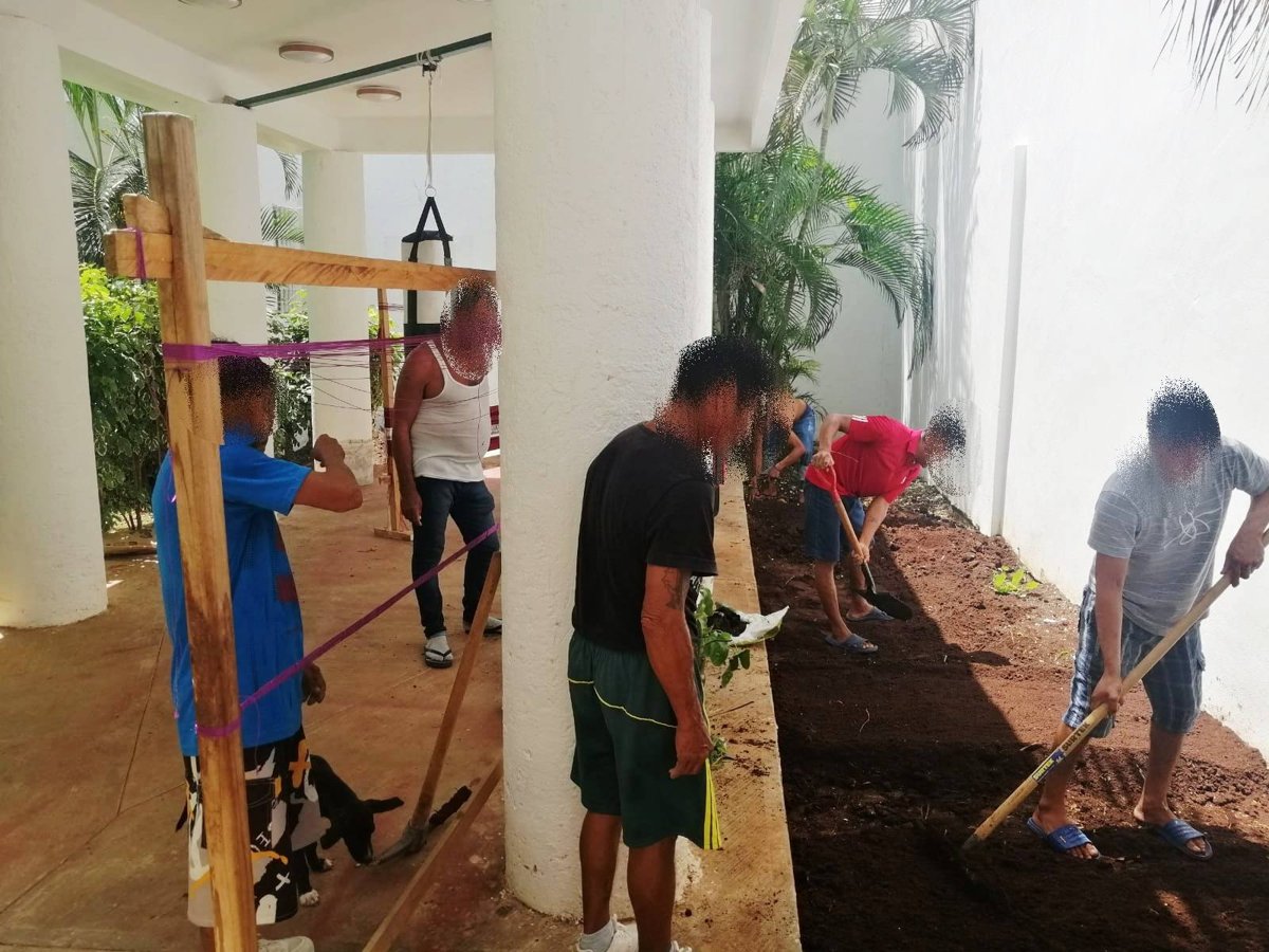 HUERTO COMUNITARIO DEL ALBERGUE A JO’OLNAJ DE LA SECRETARÍA DE INCLUSIÓN FORTALECE AUTONOMÍA Y REINSERCIÓN SOCIAL