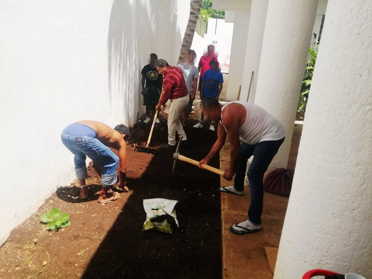 HUERTO COMUNITARIO DEL ALBERGUE A JO’OLNAJ DE LA SECRETARÍA DE INCLUSIÓN FORTALECE AUTONOMÍA Y REINSERCIÓN SOCIAL