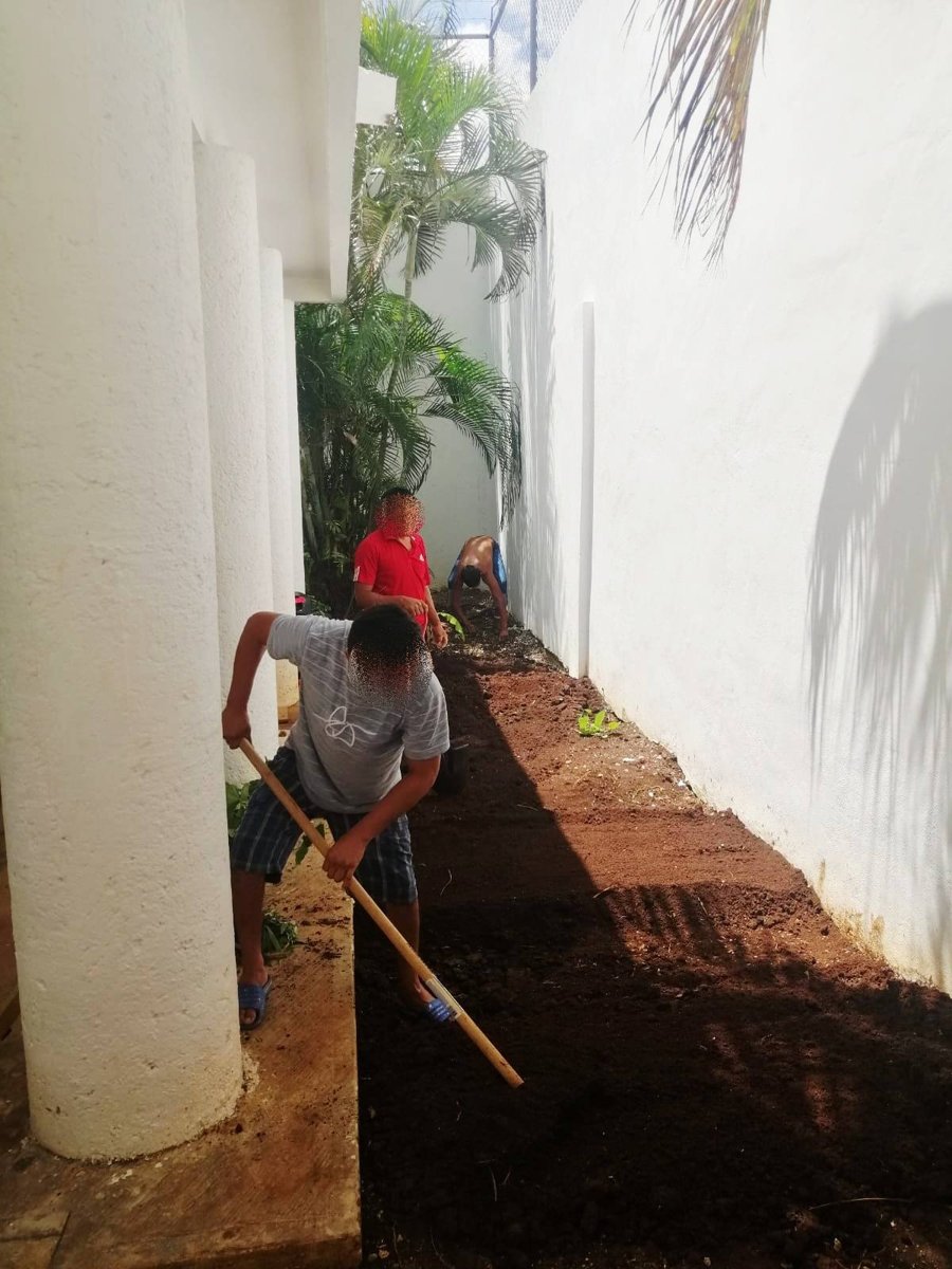 HUERTO COMUNITARIO DEL ALBERGUE A JO’OLNAJ DE LA SECRETARÍA DE INCLUSIÓN FORTALECE AUTONOMÍA Y REINSERCIÓN SOCIAL