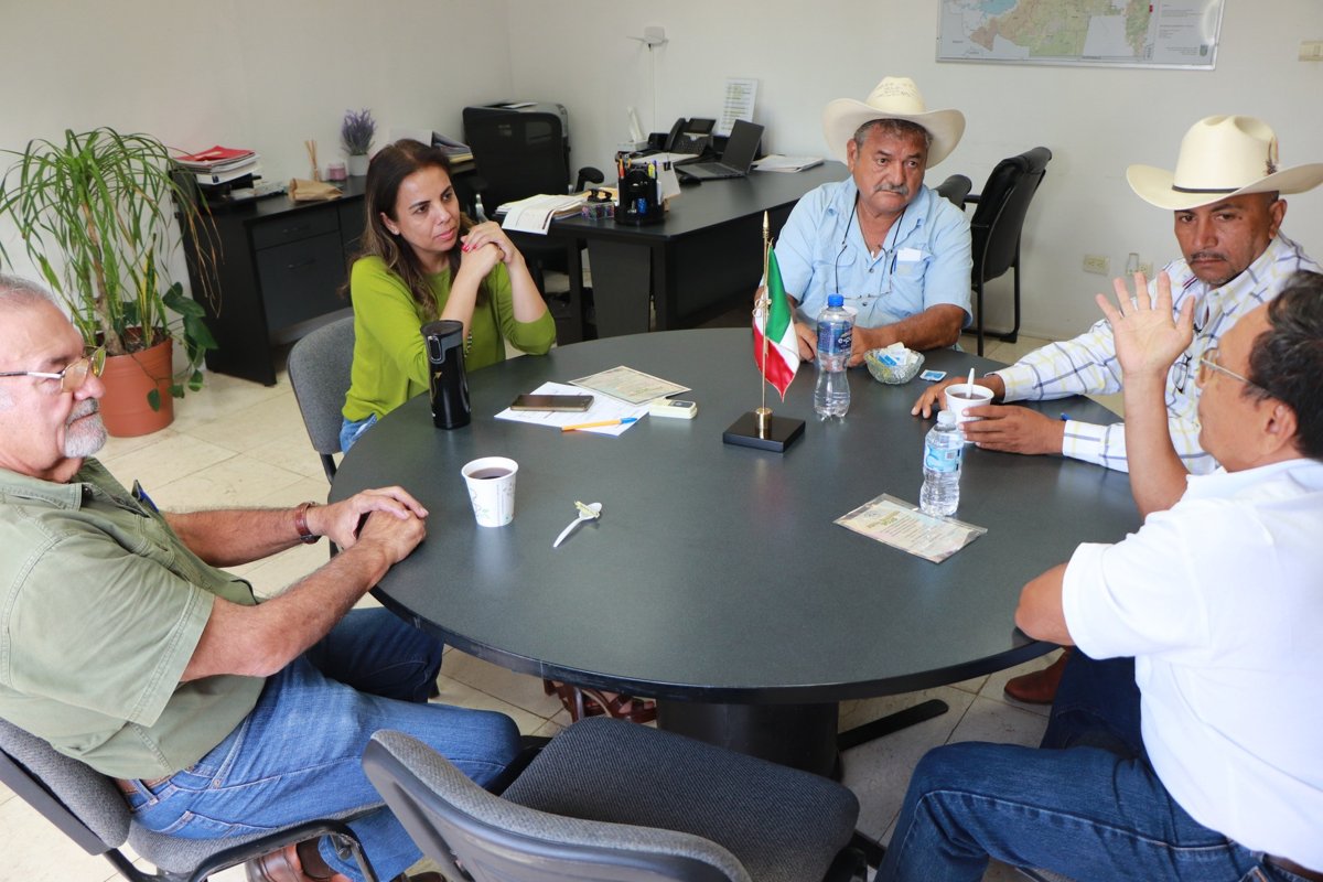 SDA REFUERZA ACCIONES CONTRA EL GUSANO BARRENADOR E IMPULSA LA GANADERÍA EN CAMPECHE