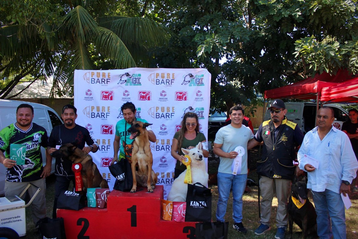 CAMPECHANOS Y SUS PELUDITOS BRILLAN EN LA COMPETENCIA DE OBEDIENCIA CANINA