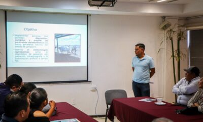 SE FORTALECEN ACCIONES DE DIAGNÓSTICO EN GANADERÍA: SDA