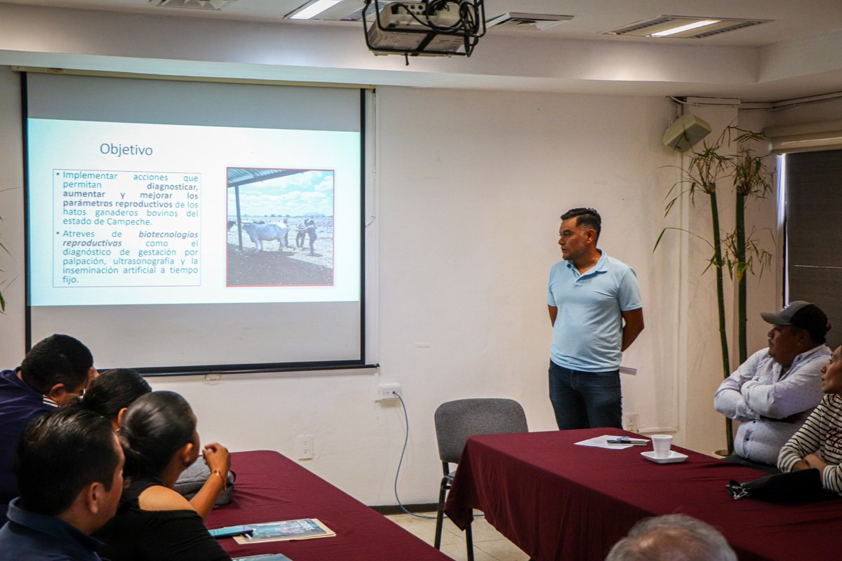 SE FORTALECEN ACCIONES DE DIAGNÓSTICO EN GANADERÍA: SDA
