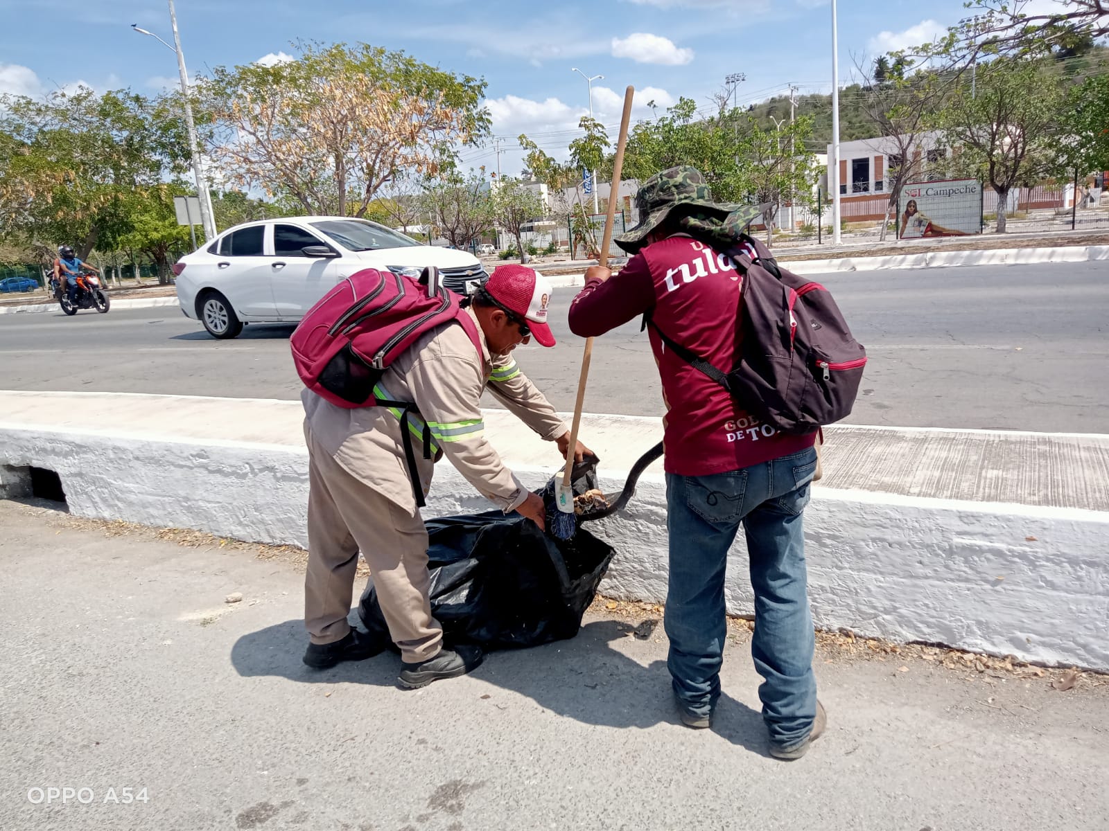 PARQUES Y JARDINES LIMPIA MALECÓN DE LA CIUDAD