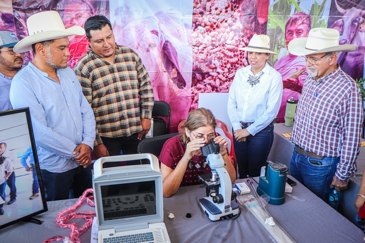 APOYO A PRODUCTORES EN LA FERIA GANADERA DE CHAMPOTÓN 2025