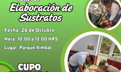 OCTUBRE DE DIVERSIÓN Y EDUCACIÓN CON PROCDSCAM