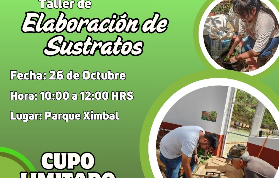 OCTUBRE DE DIVERSIÓN Y EDUCACIÓN CON PROCDSCAM