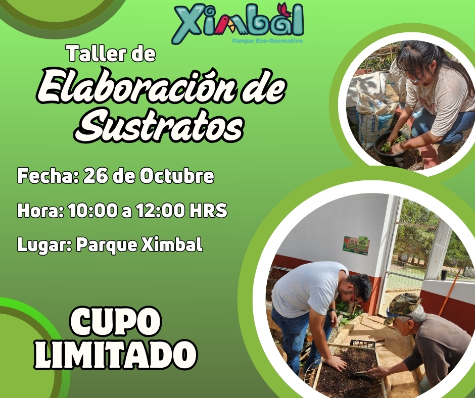 OCTUBRE DE DIVERSIÓN Y EDUCACIÓN CON PROCDSCAM