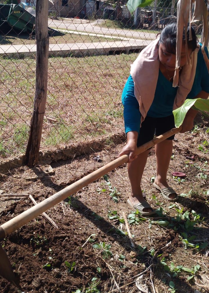 SE PROMUEVEN HUERTOS AGROECOLÓGICOS EN PUEBLO NUEVO