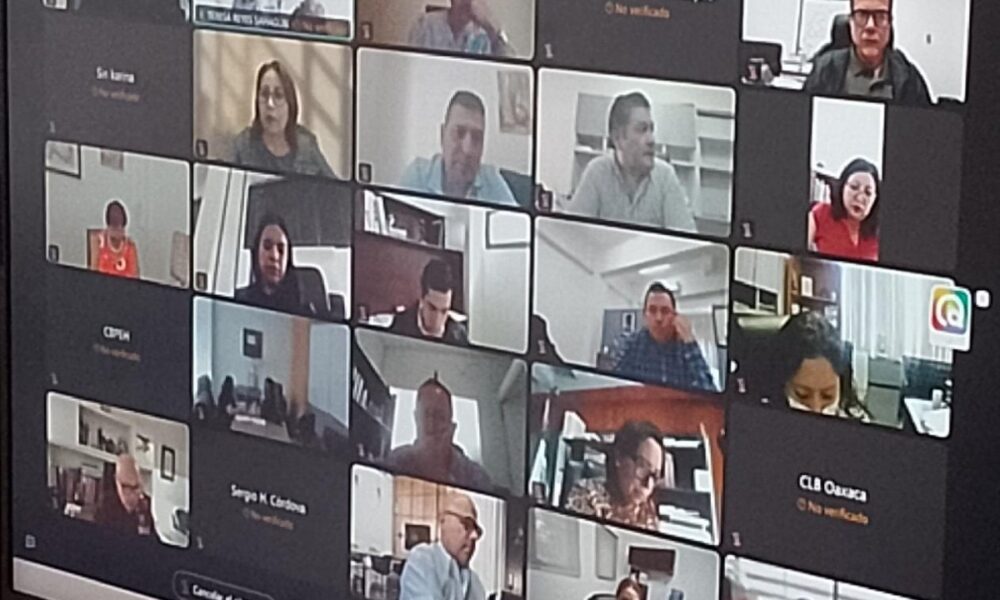 REUNIÓN DE TRABAJO VIRTUAL CON LA COMISIONADA NACIONAL Y COMISIONADOS ESTATALES