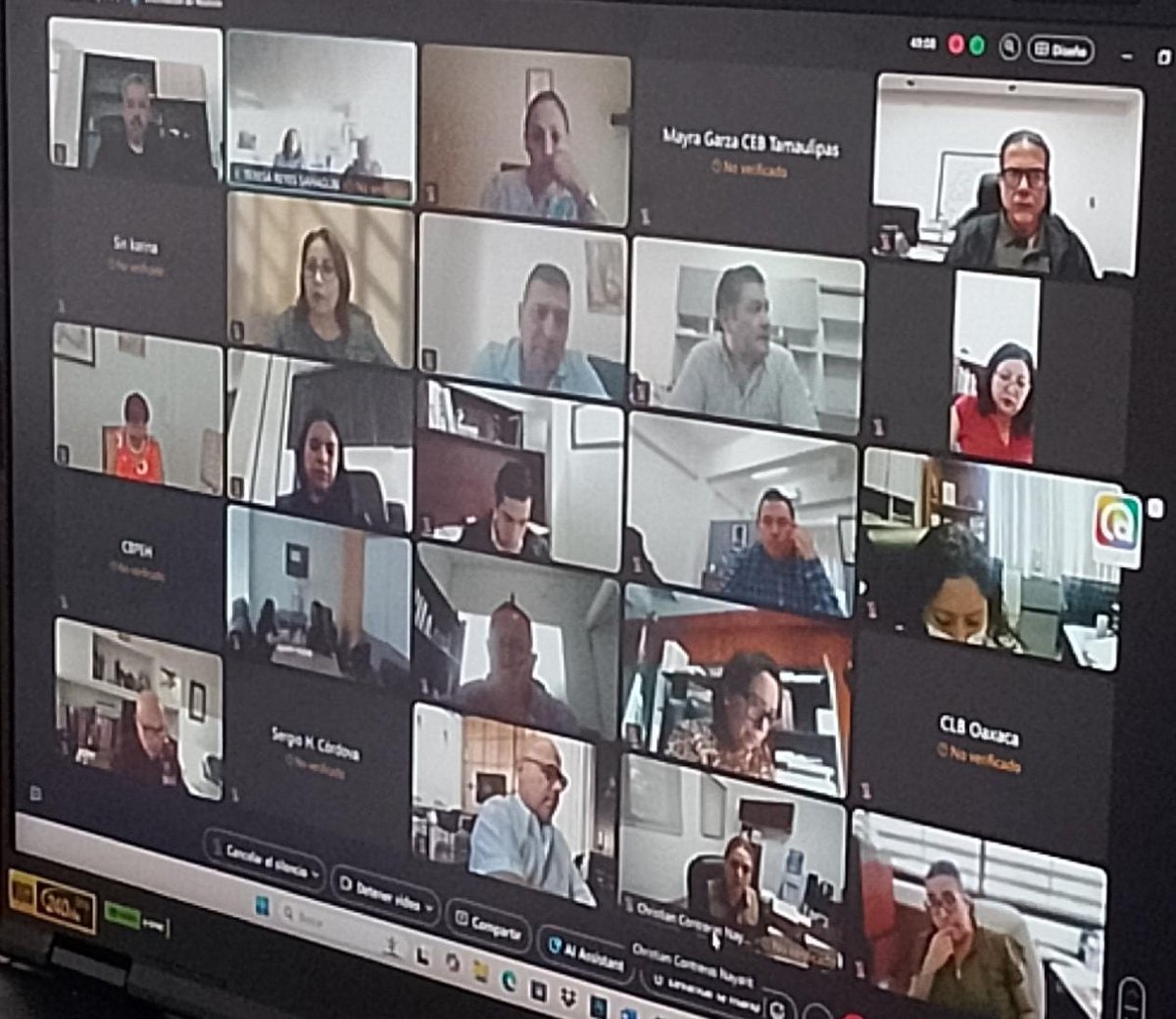 REUNIÓN DE TRABAJO VIRTUAL CON LA COMISIONADA NACIONAL Y COMISIONADOS ESTATALES