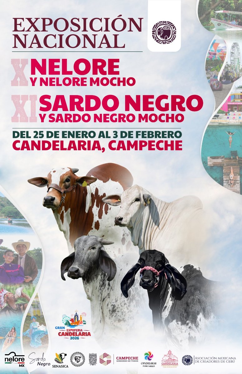 EXPOSICIÓN NACIONAL DE GANADO CEBÚ EN CANDELARIA