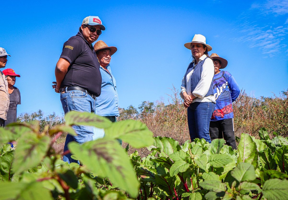 APOYOS A PRODUCTORES HORTÍCOLAS DE LA LOCALIDAD DE CHEMBLÁS