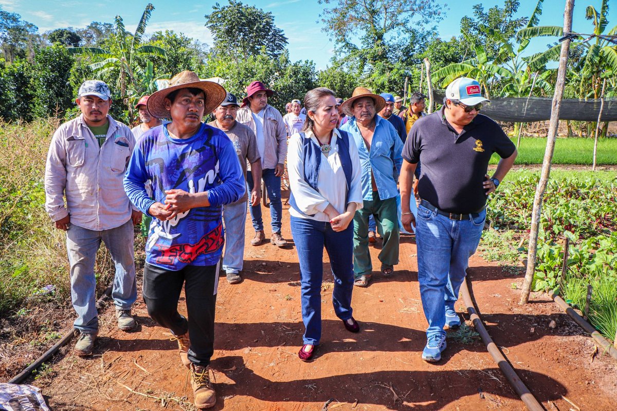 APOYOS A PRODUCTORES HORTÍCOLAS DE LA LOCALIDAD DE CHEMBLÁS