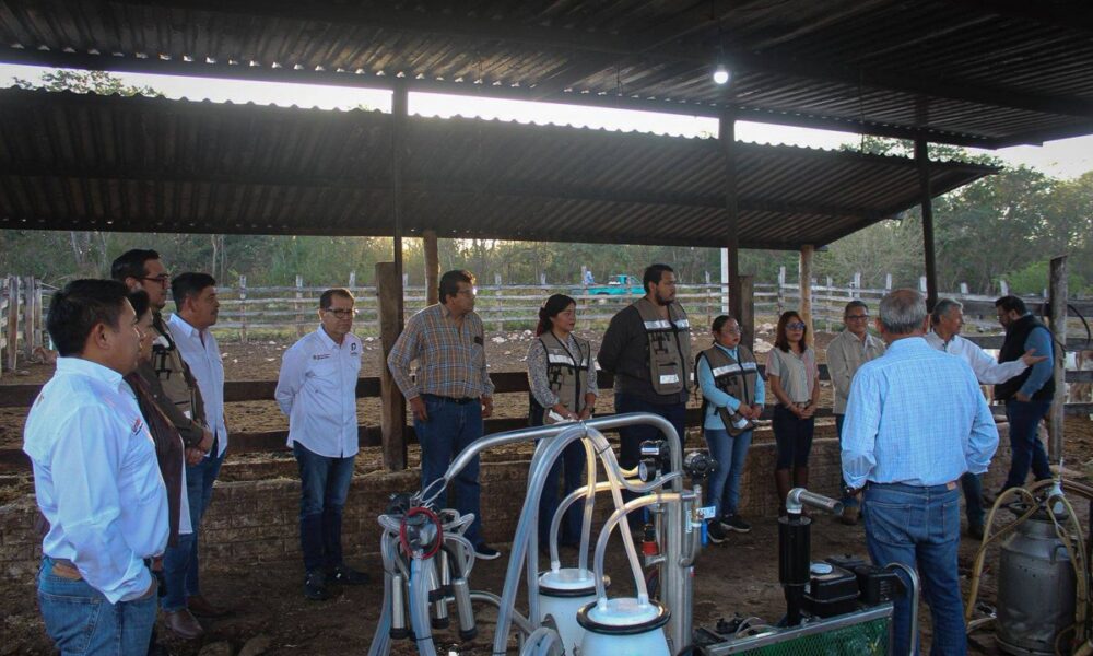 IMPULSAN EL FORTALECIMIENTO DEL SECTOR LECHERO DEL PLAN CAMPECHE CON ACOMPAÑAMIENTO TÉCNICO EN MELCHOR OCAMPO