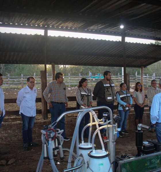 IMPULSAN EL FORTALECIMIENTO DEL SECTOR LECHERO DEL PLAN CAMPECHE CON ACOMPAÑAMIENTO TÉCNICO EN MELCHOR OCAMPO