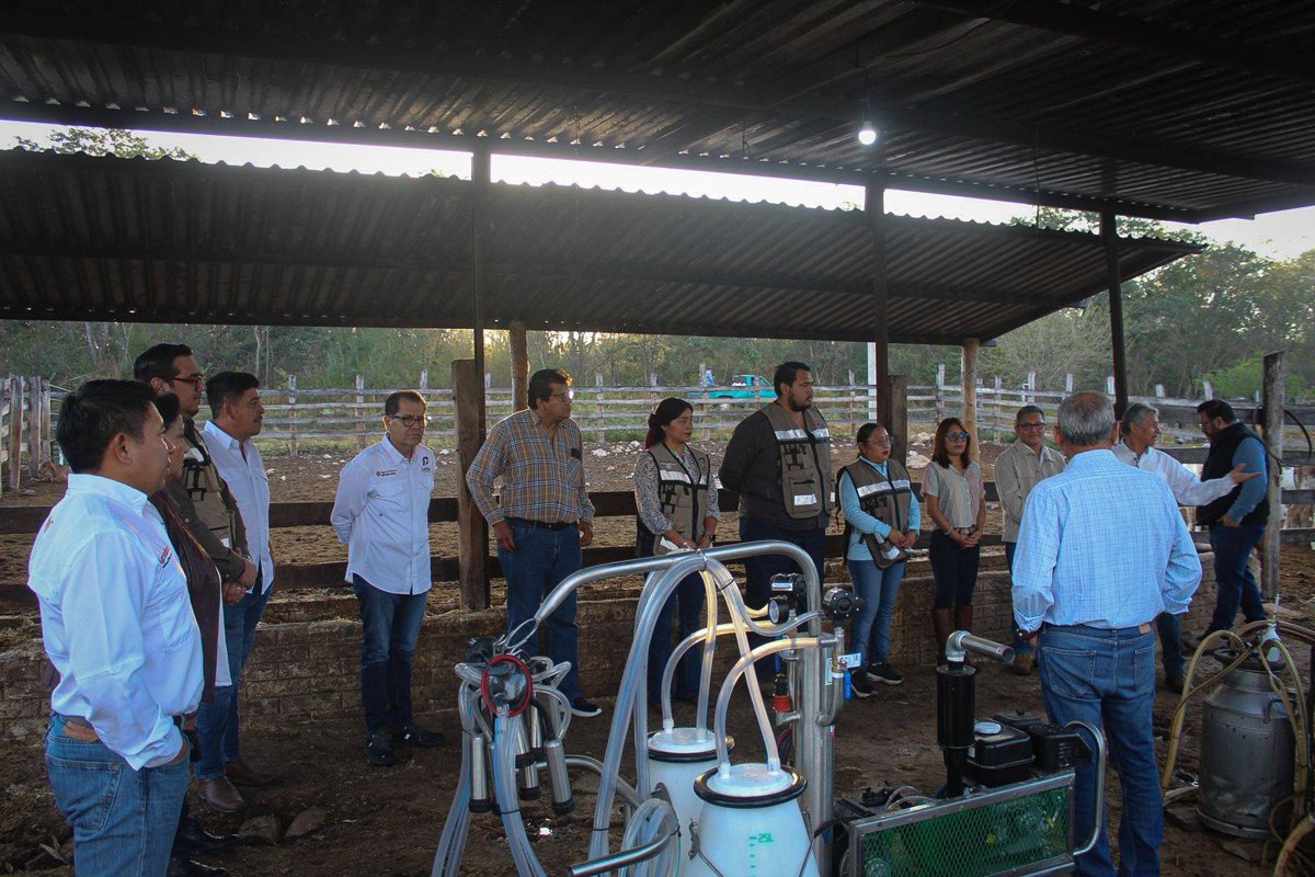 IMPULSAN EL FORTALECIMIENTO DEL SECTOR LECHERO DEL PLAN CAMPECHE CON ACOMPAÑAMIENTO TÉCNICO EN MELCHOR OCAMPO