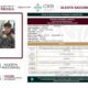 VINCULACIÓN A PROCESO POR HOMICIDIO CALIFICADO EN GRADO DE TENTATIVA, DAÑO EN PROPIEDAD AJENA Y MOTÍN