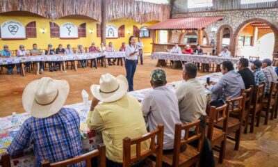 FORTALECEN COMERCIALIZACIÓN DEL LIMÓN PERSA EN CHAMPOTÓN