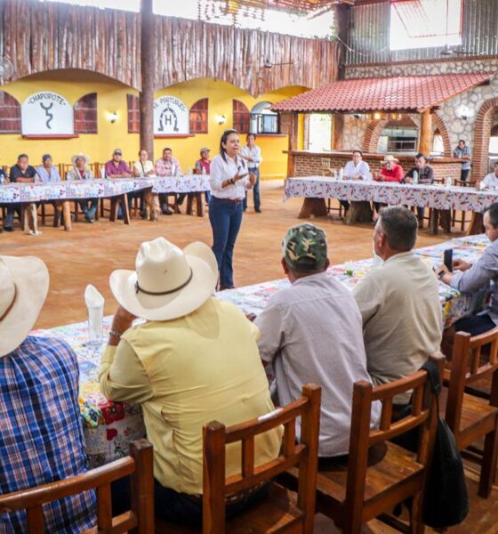 FORTALECEN COMERCIALIZACIÓN DEL LIMÓN PERSA EN CHAMPOTÓN