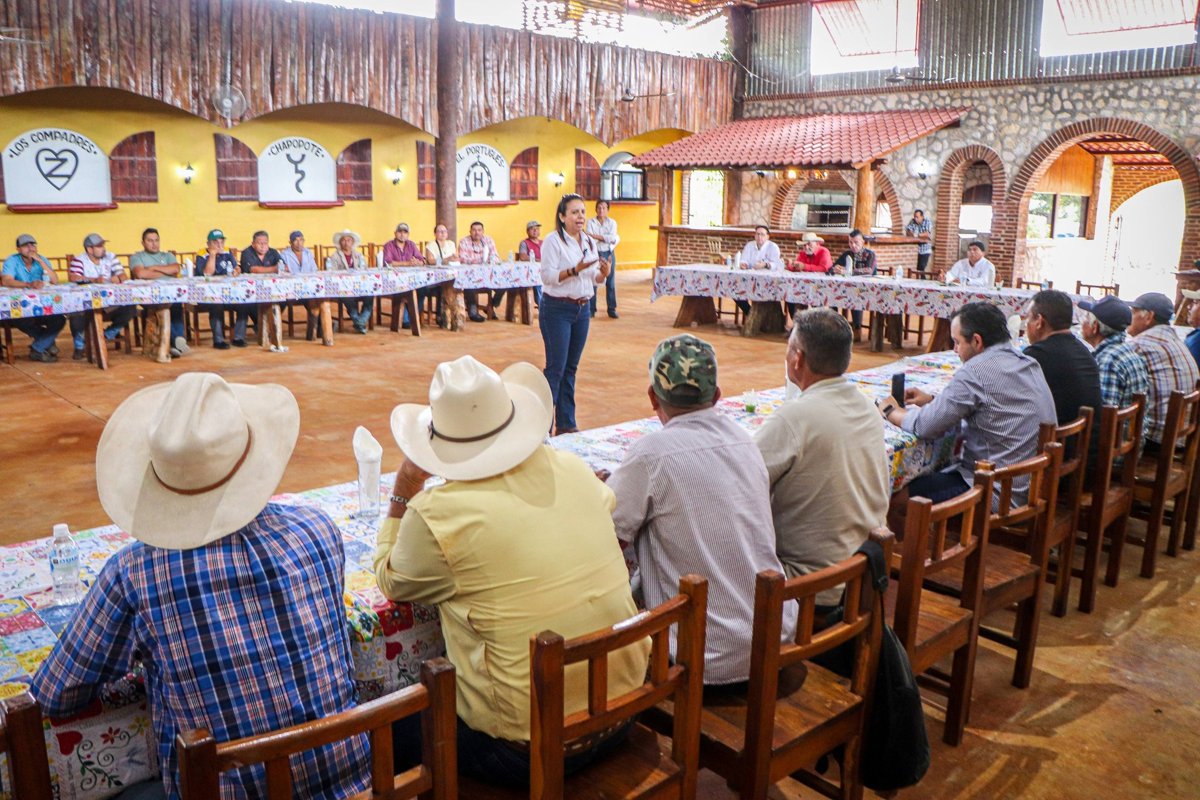FORTALECEN COMERCIALIZACIÓN DEL LIMÓN PERSA EN CHAMPOTÓN
