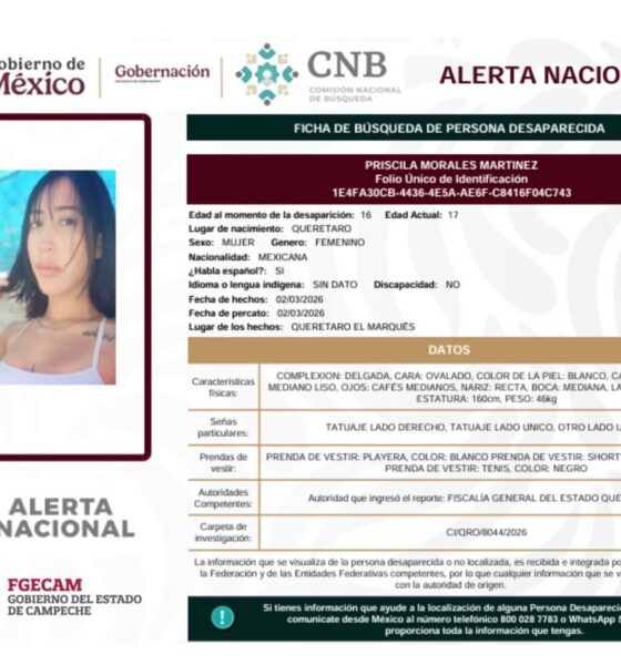 IMÁGENES: https:/ /fromsmash.com/BN190326.2