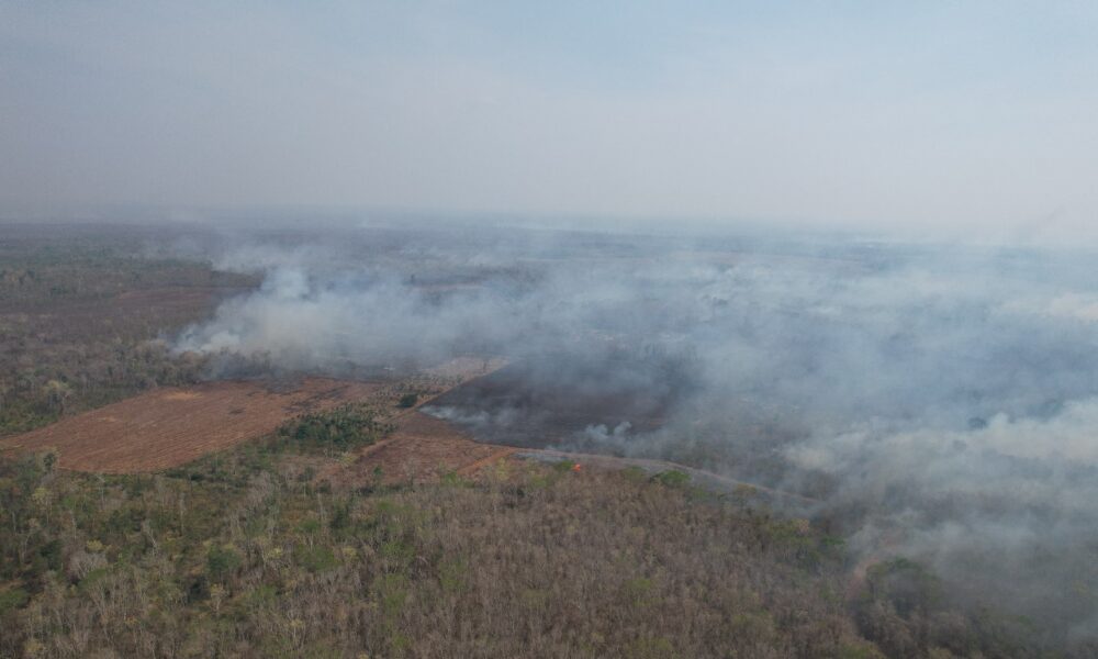 SITUACIÓN DE INCENDIOS FORESTALES