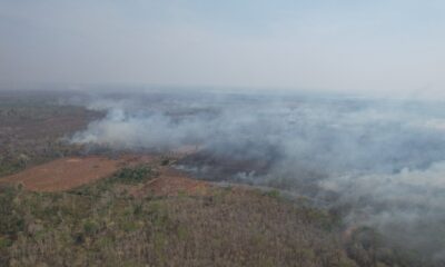 SITUACIÓN DE INCENDIOS FORESTALES