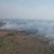 SITUACIÓN DE INCENDIOS FORESTALES