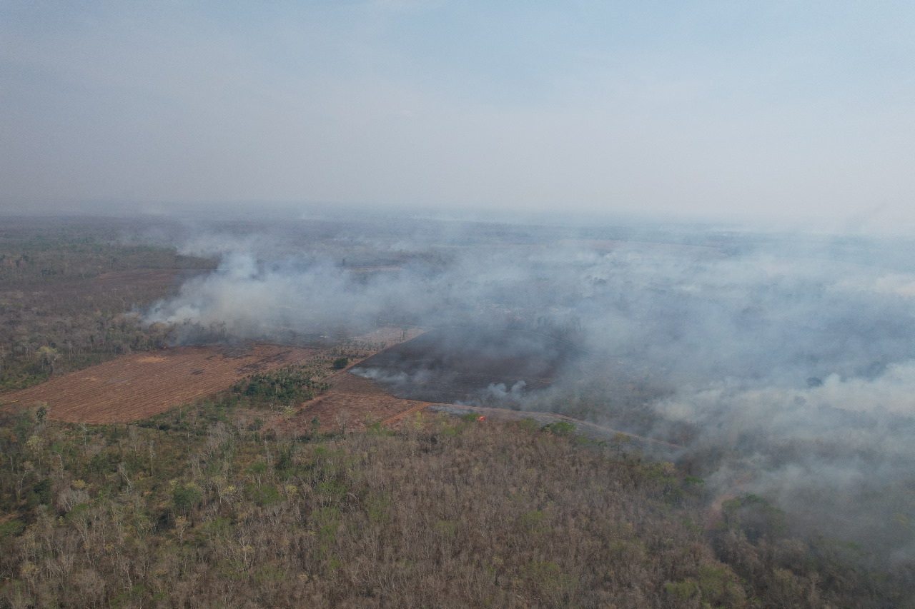 SITUACIÓN DE INCENDIOS FORESTALES